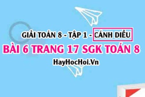 Giải bài 6 trang 17 Toán 8 Tập 1 SGK Cánh Diều